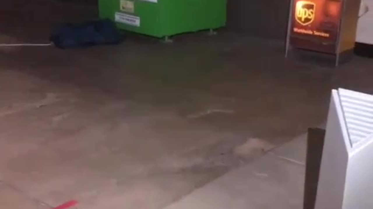 How did this happen #shorts