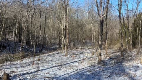 Woods talk 1-14-2024