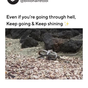 The Kind Of Motivation Every Needs😎