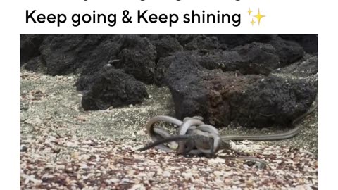 The Kind Of Motivation Every Needs😎
