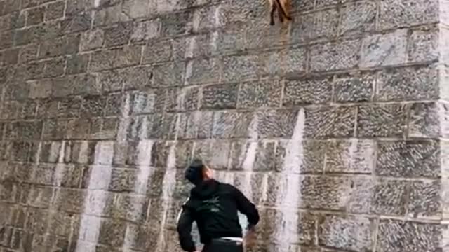 Army training video