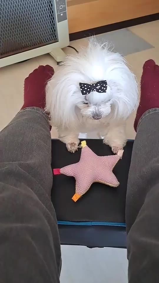 someone please play with this