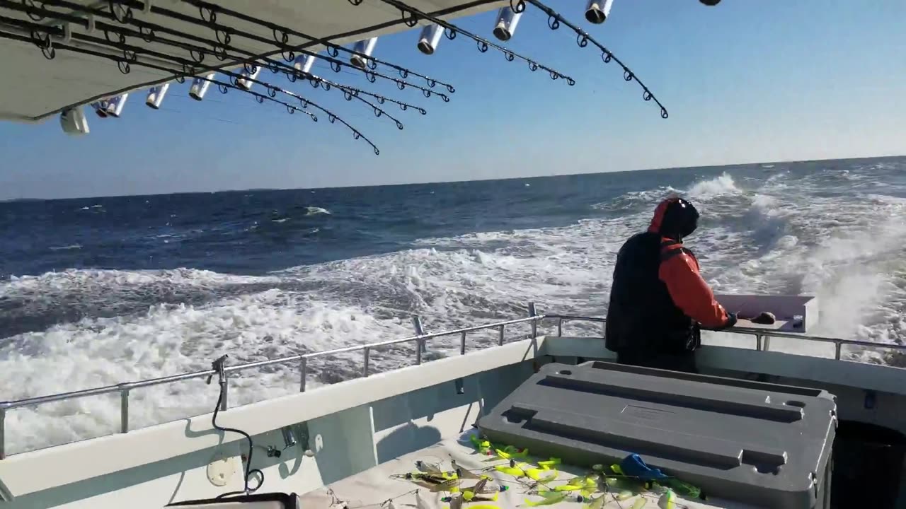 Rock Fishing in Chespapeake Bay