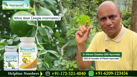 Ulcerative Colitis Healing Plants, Herbs, Ayurvedic Remedies by IBD Expert Healer