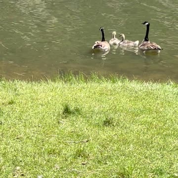 Cruising with the kids