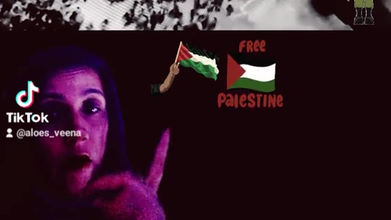 ALOE VEENA RANT ABOUT IDF GAZA PALESTINE SATELLITE FOOTAGE