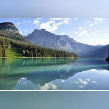 Nature beauty 🌴🌴