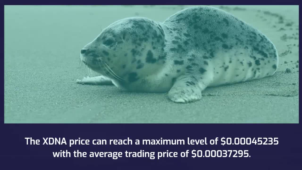 XDNA Price Prediction 2023, 2025, 2030 XDNA Cryptocurrency Price Prediction