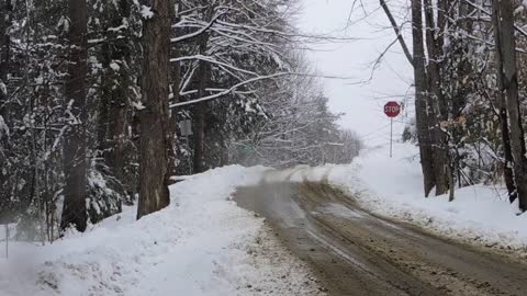 Rallying the '98 Impreza Outback Sport