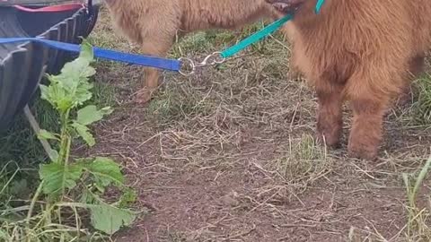 Babies are doing so good!