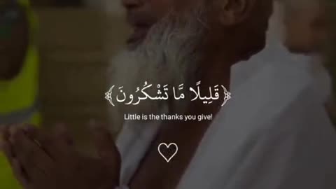 Quran ki tilawat