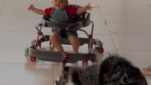 Pup Pulls Little Guy with Leash