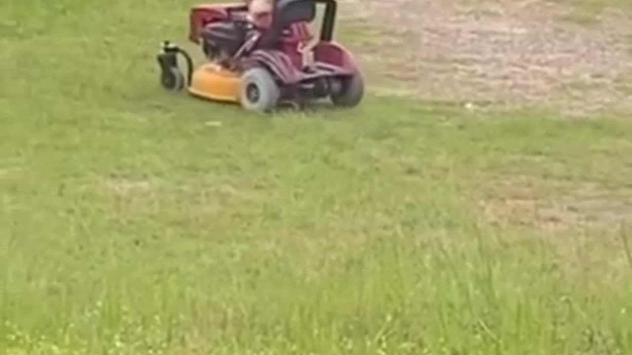 YOU GOT TO CHECK THIS OUT 😱A DOG MOWING THE LAWN