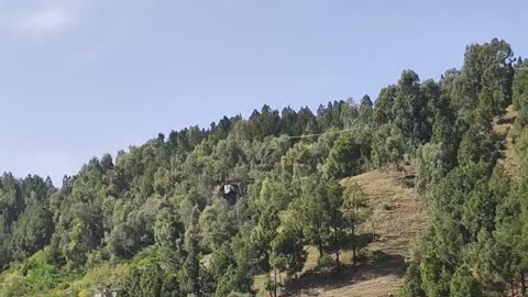 Low Flying Eagle, Kaghan Colony Heights