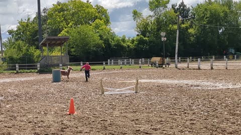 Nora and Elle - mini down and back plus jumping - 29 July 2023