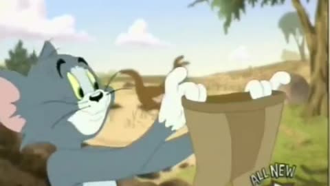 Tom vs Kangaroo | Funny Cartoon Videos | Tom and Jerry