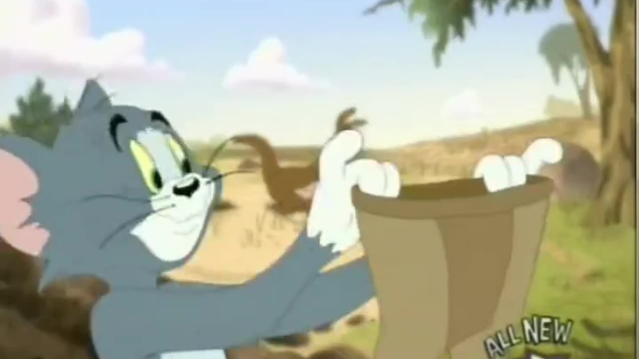 Tom vs Kangaroo | Funny Cartoon Videos | Tom and Jerry