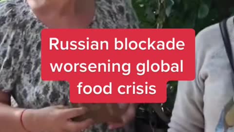 Russian blockade worsening global food crisis