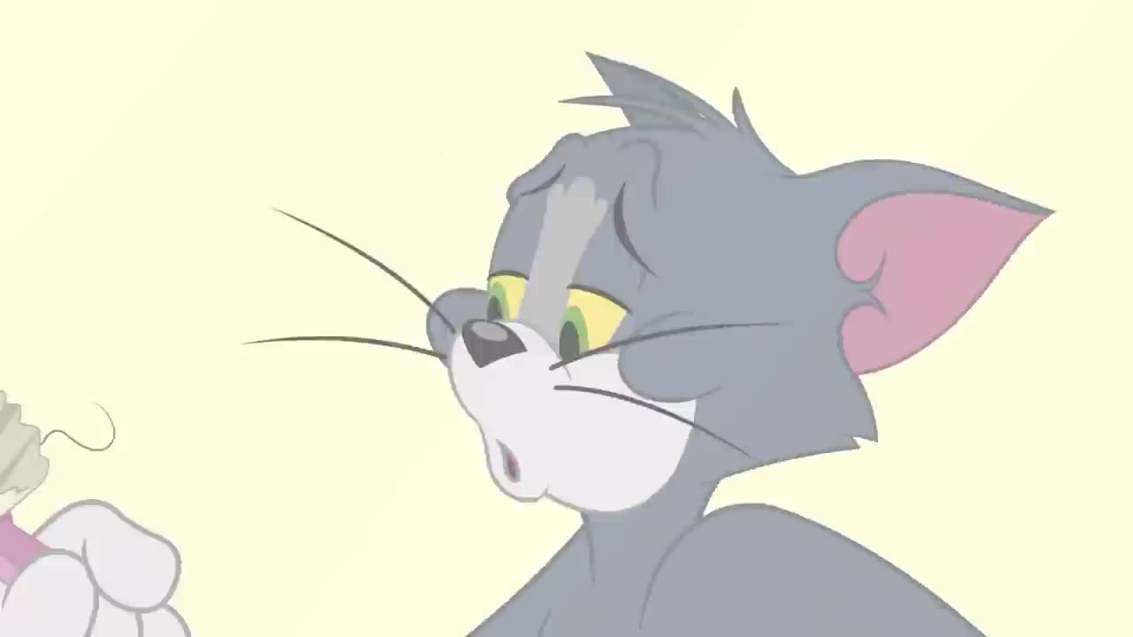 Tom and Jerry Grappenoorlog