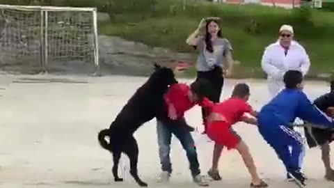 Trying to help 🤣😁😹