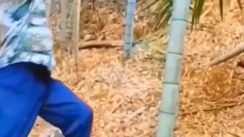 Respect Video Short 🔥💯 : I don't want to risk so much 😱 #shorts