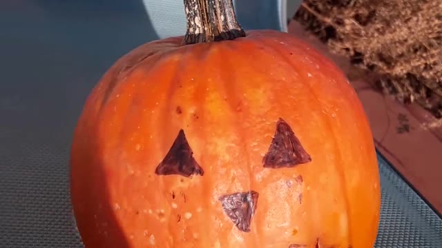 Vengeance in MINE, saith the LORD. It is coming on these traitors 11/29/22