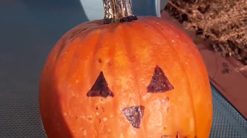 Vengeance in MINE, saith the LORD. It is coming on these traitors 11/29/22