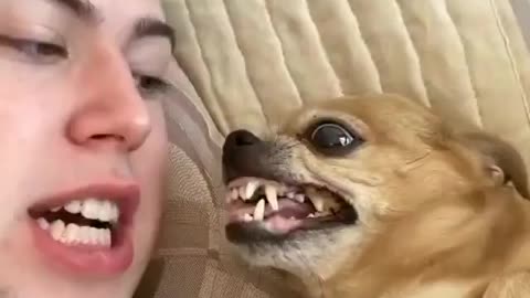 Cute and adorable animal behavior makes anyone happy to see it
