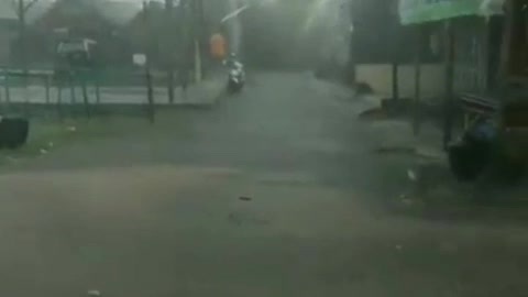 A hurricane knocks down a big tree