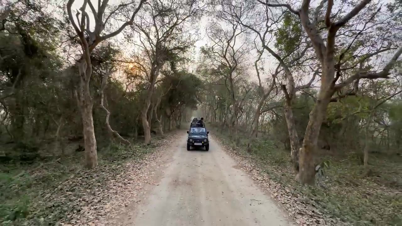 Exploring Assam_s rich biodiversity_ PM Modi at Kaziranga National Park