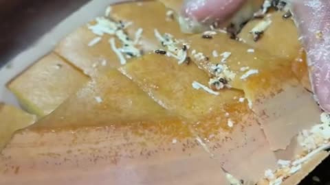 Martabak sultan