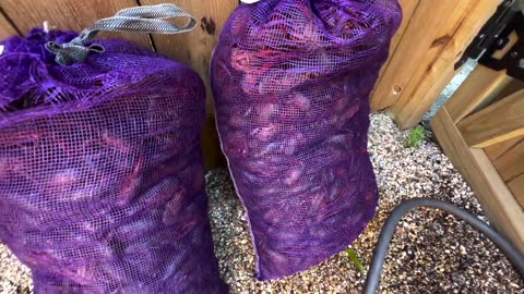 ***A WILD CATCH in Our Traps and a BIG FEAST of MUD BUGS (Catch and Cook)***