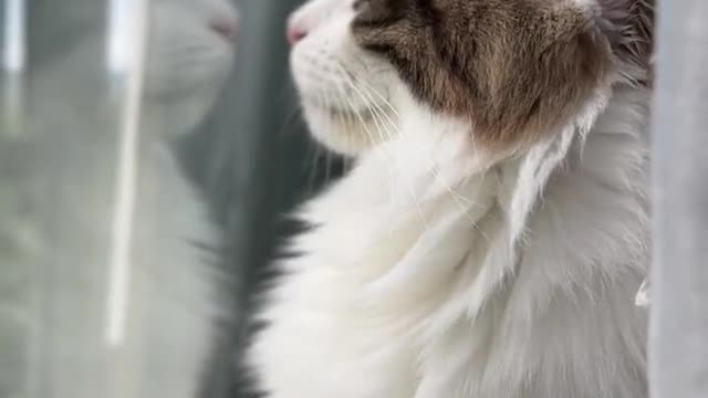 귀엽지 않나요??!!