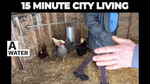The Fifteen-Minute Hen House -- a Satirical Canadian Parable (everything summed up in four minutes)