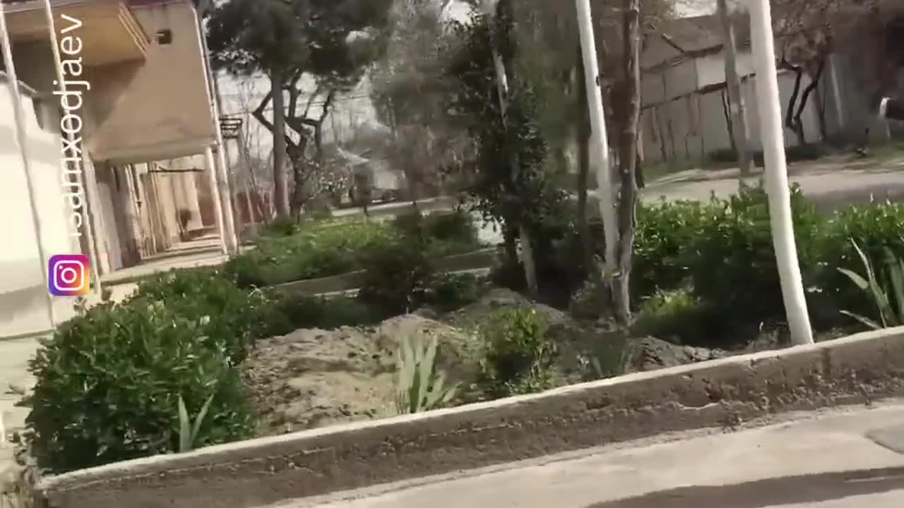 The end funny viral shorts funnyvideos trustedhumor