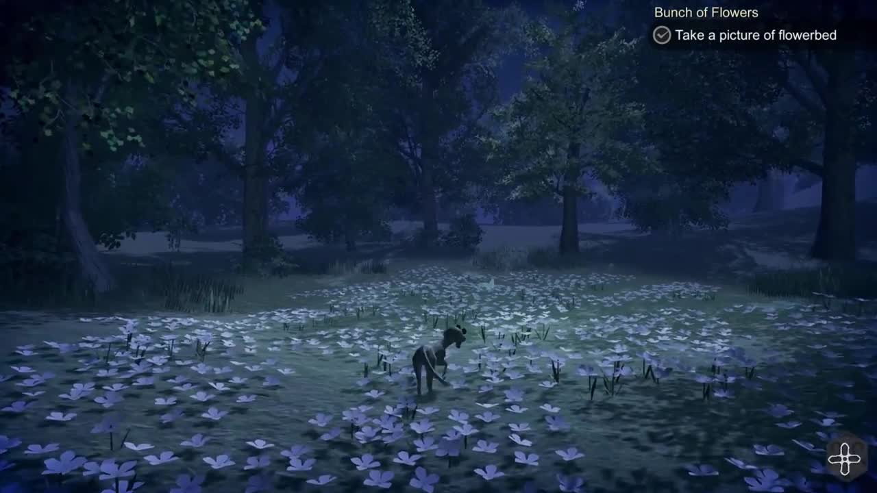 The Good Life Metamorphose into a DOG