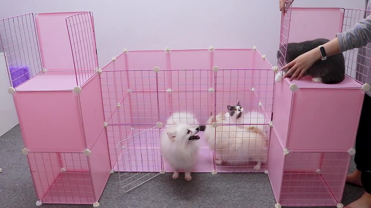 Puppy house / making dog house at home simple Dog house build DIY/ DIY Dog House/ DoG/ Funny Dog's