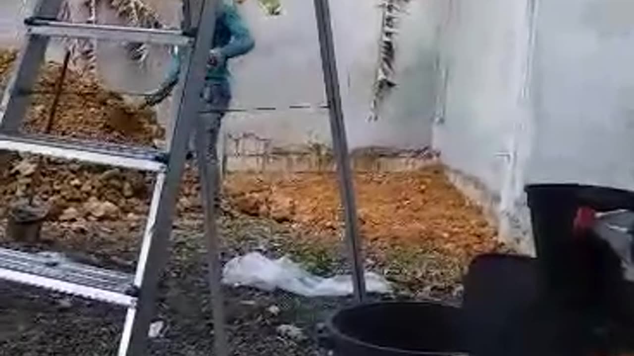 5 Building Our House