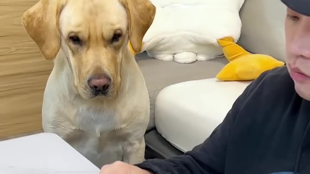 這狗子吃個東西還挺講究