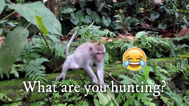 That is a monkey or a fisherman!!