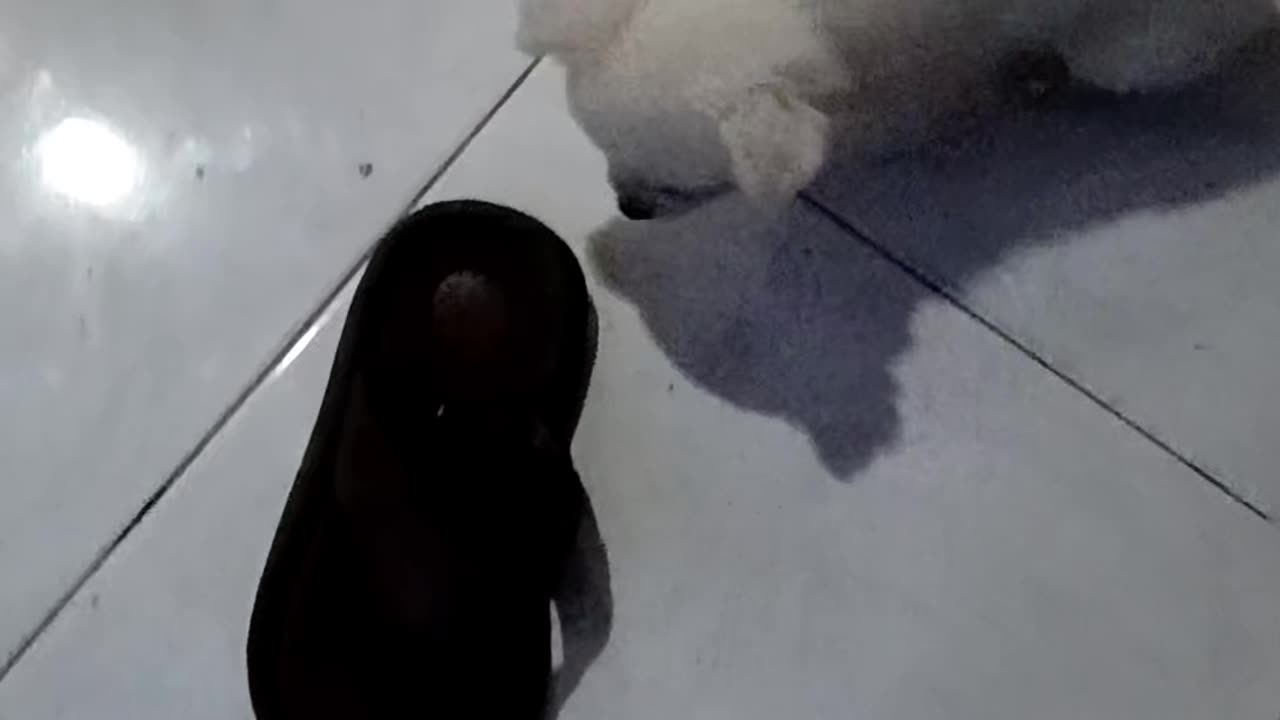 Kaya pala madaling ma sira ang tsinelas😂