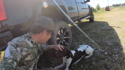 Nebraska Dove hunting 2024