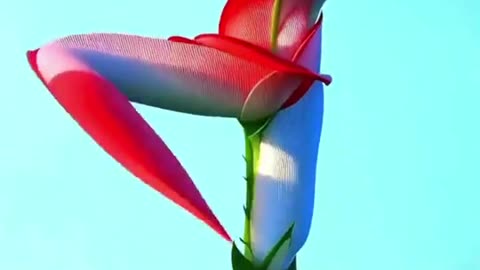 Garden grass dancing