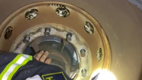 Snake Removed From Truck Tire