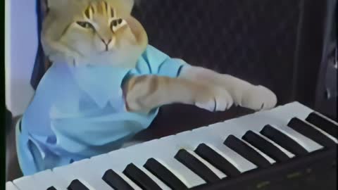 Charlie Schmidt's Keyboard Cat! (4K Version)