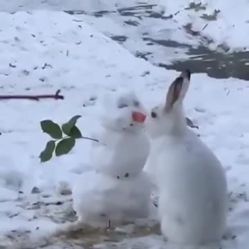 Mr Snowman... your nose is mighty tasty !