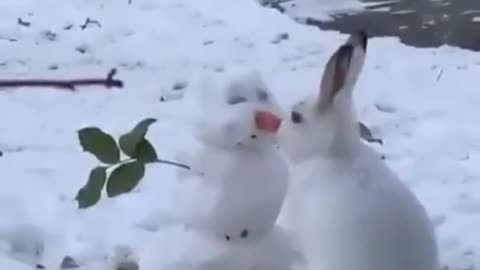 Mr Snowman... your nose is mighty tasty !