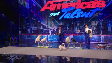 Jump-Roping Dog - Olate Dogs Audition - America's Got Talent Season 7