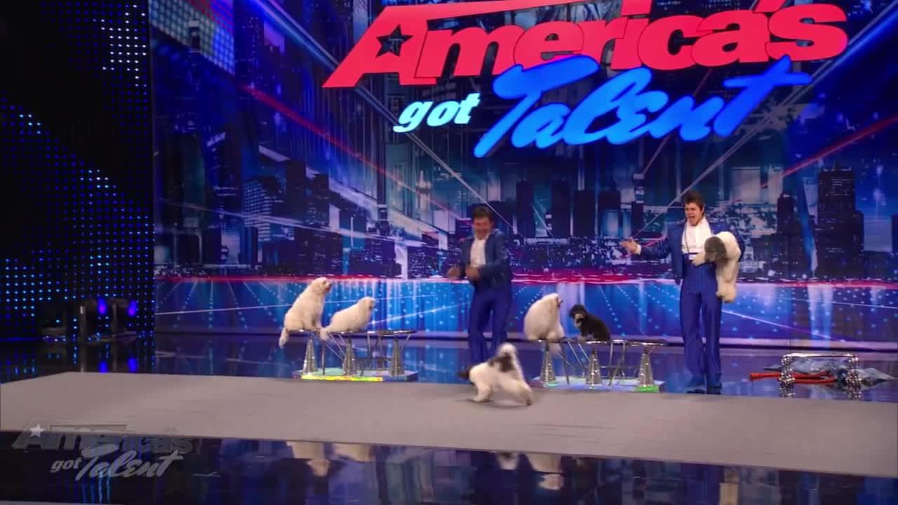 Jump-Roping Dog - Olate Dogs Audition - America's Got Talent Season 7