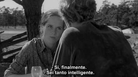 Ingmar Bergman - La vergogna (1968)